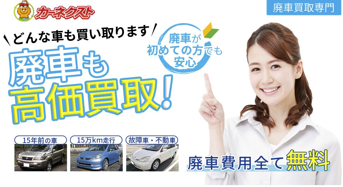 カーネクストの画像